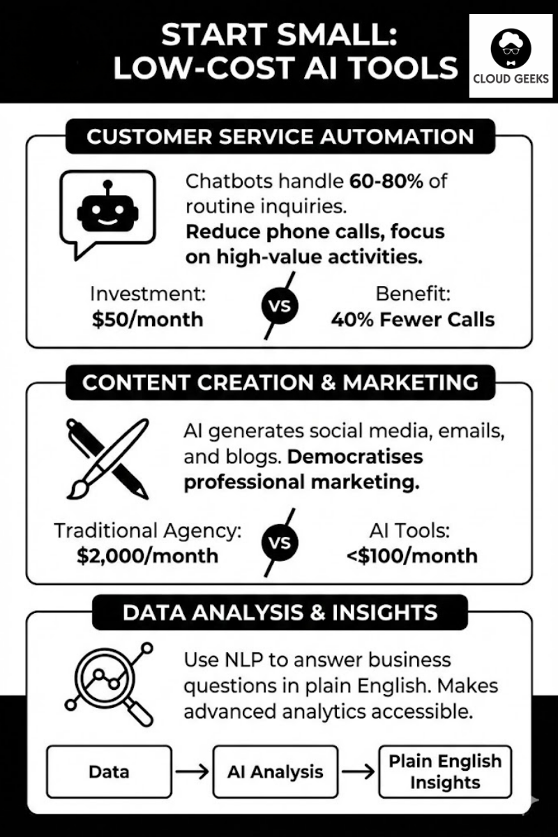 Three entry-level AI application areas illustrated: customer service automation with chatbot handling FAQs, content creation tools generating marketing materials, and data analysis platforms turning raw numbers into actionable insights, each showing typical monthly costs under $100 AUD