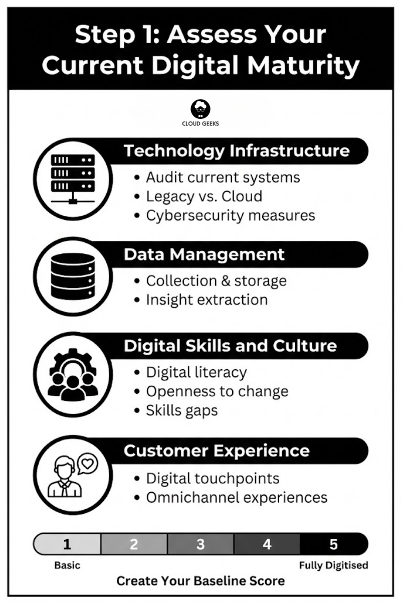 Comprehensive digital maturity assessment dashboard showing evaluation across technology infrastructure, data management capabilities, digital skills assessment, and customer experience touchpoints for Australian SMBs