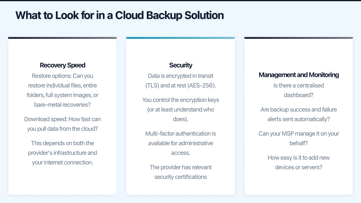 Microsoft 365 Backup: A Special Mention Infographic