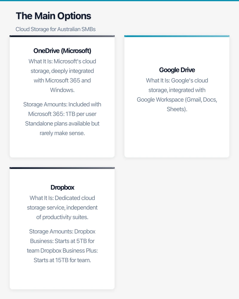 The Main Options Infographic
